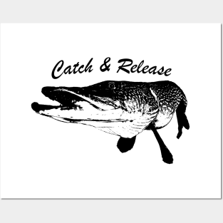 Catch and Release Series, Pike, Black color Posters and Art